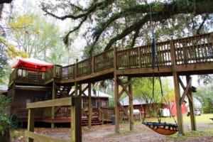 Tree House Cabin