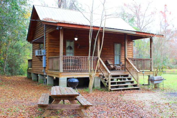 Cabin for a romantic getaway at Berry Creek Cabins